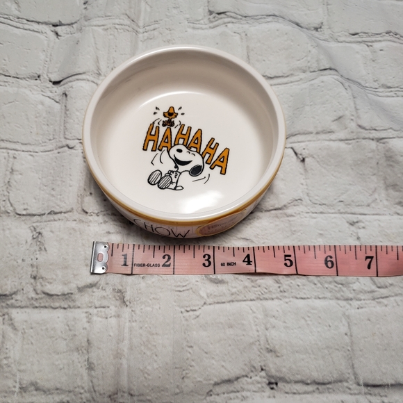 Rae Dunn X Peanuts Cat Food/Water Plate. - Picture 6 of 6